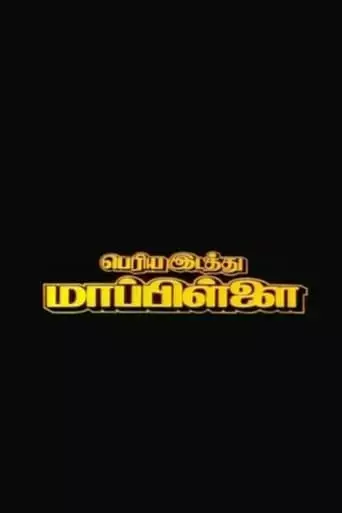 Periya Idathu Mappillai (1997)