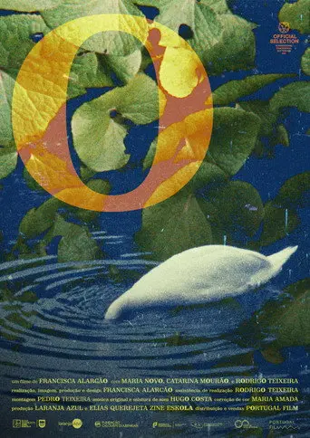 o (2026)