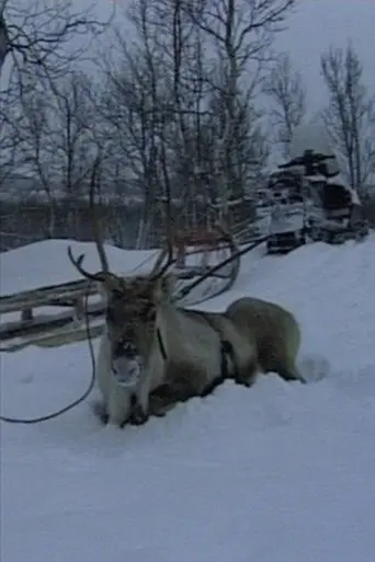 Niestebohcco njuovvan (1997)