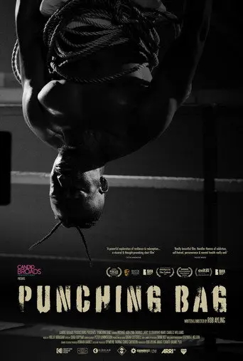 Punching Bag (2025)