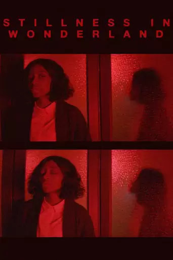 STILLNESS IN WONDERLAND: THE FILM (2016)