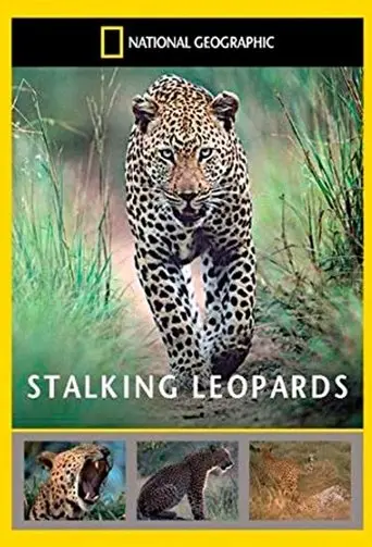 National Geographic: Stalking Leopards (2002)