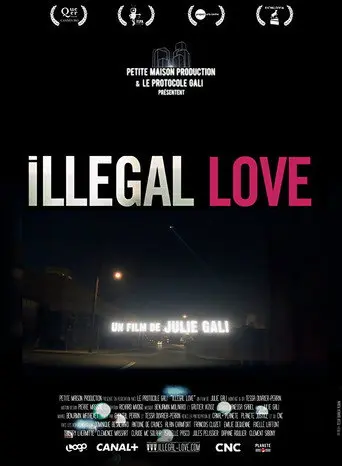 Illegal Love (2011)