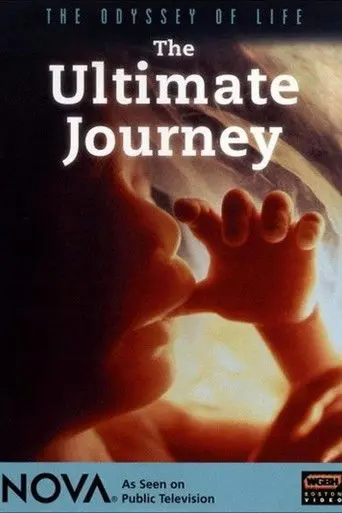 Odyssey of Life (1996)