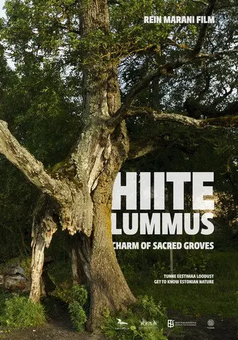 Charm of Sacred Groves (2013)