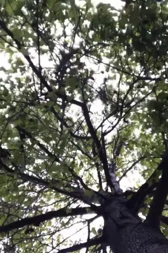 The Tree (2020)