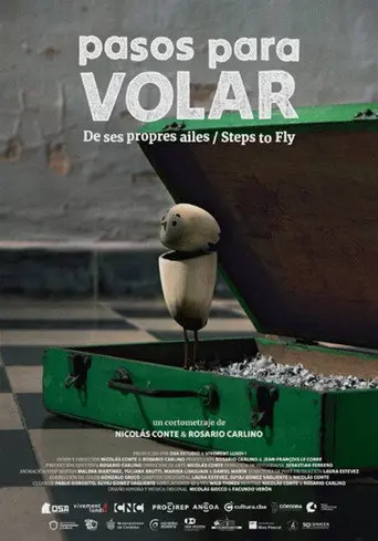 Steps to Fly (2024)