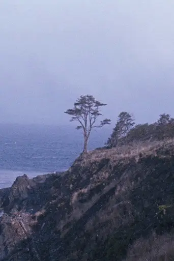 The Tree (2022)