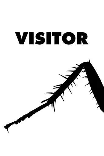 Visitor (2026)