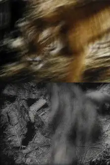 Cemetery [Archive Works] (2010)