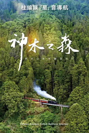Taiwan Alishan Forest Railway Journey (2024)