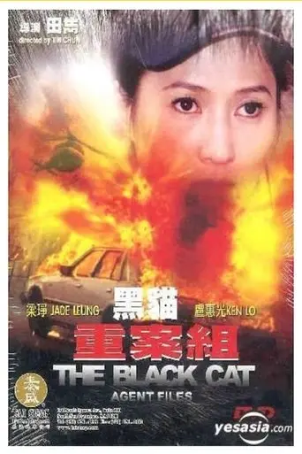 The Black Cat Agent Files (2003)