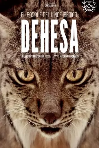 Dehesa: The Forest of the Iberian Lynx (2020)