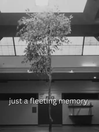 Just A Fleeting Memory. (2024)