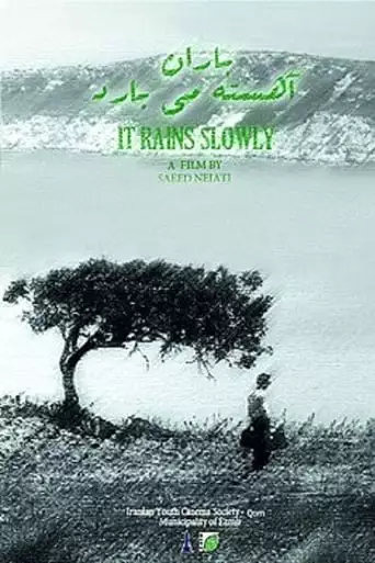 It Rains Slowly (2017)