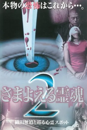 Wandering Souls 2: Exploring Haunted Spots with Oda Nobunaga (1999)