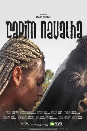 Capim-Navalha (2023)