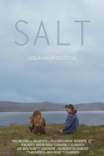 Salt (2014)