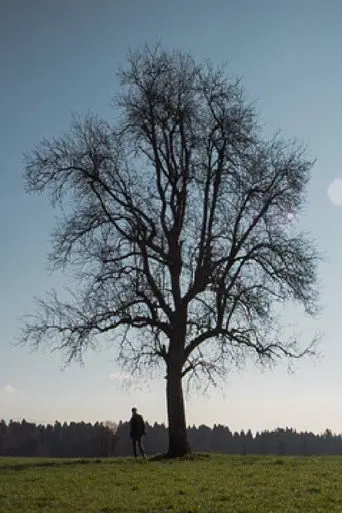 Outside (2015)