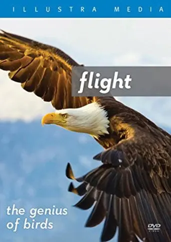 Flight: The Genius of Birds (2013)