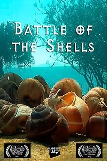 Guerra das conchas (2013)