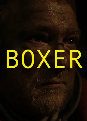 Boxer (2010)