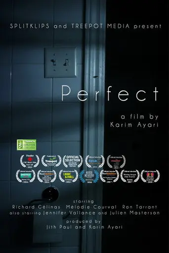 Perfect (2013)