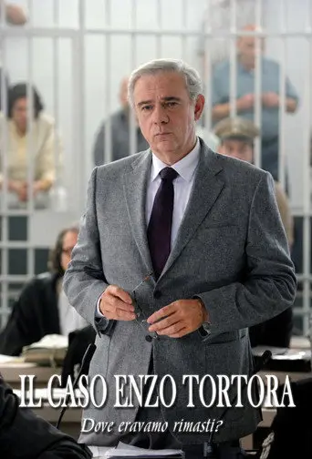 Il caso Enzo Tortora: Dove eravamo rimasti? (2012)