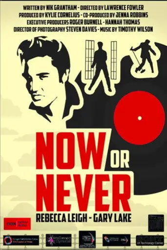 Now or Never (2013)