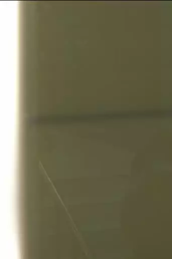 Window To Window (2021)