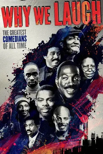 Why We Laugh: Black Comedians on Black Comedy (2009)