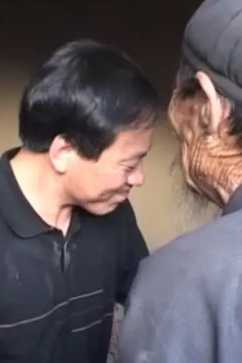 Wang Keqin: Reporter (2005)