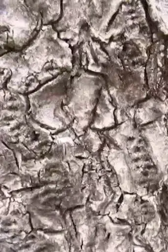 Ecosystem 16 ~ Geoid (2009)