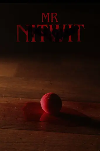 Mr Nitwit (2026)