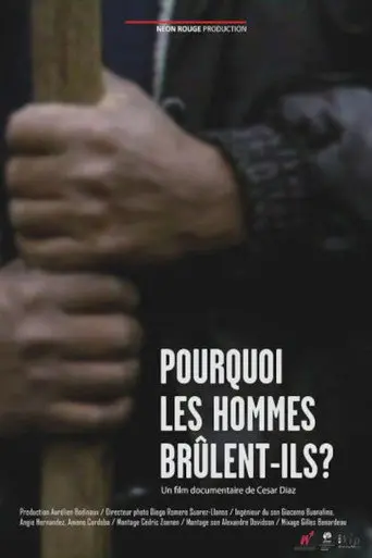 Pourquoi les hommes brûlent-ils? (2010)