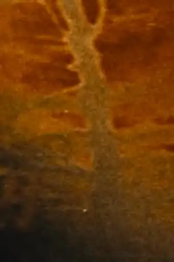 The Devastated Land (2015)
