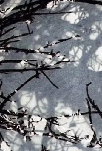 Variations sur Marilou (2007)