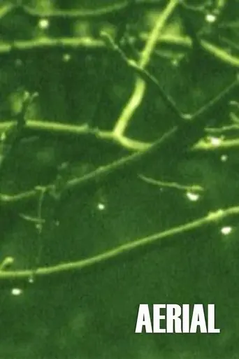 Aerial (1974)