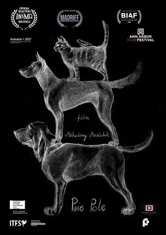 Dog’s Field (2020)