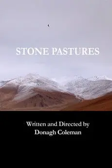 Stone pastures (2010)