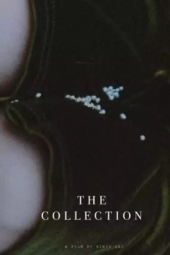 The Collection (2023)