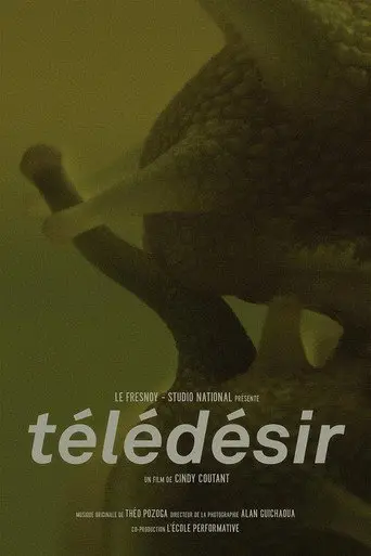 Télédésir (2018)