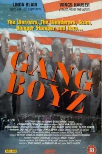 Gang Boys (1994)