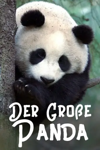 The Giant Panda (2020)