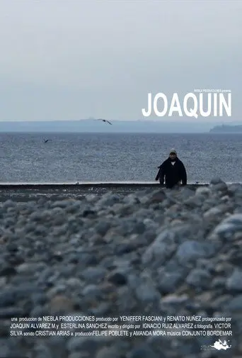 Joaquín (2011)