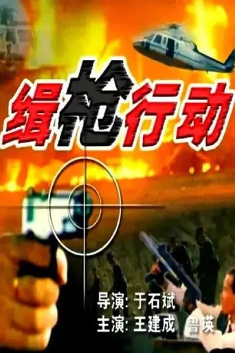 缉枪行动 (1991)