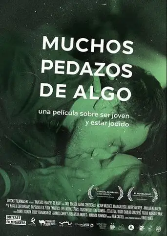 Many Pieces of Something (2015)