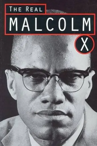 The Real Malcolm X (1992)