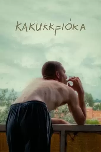 Kakukkfioka (2022)