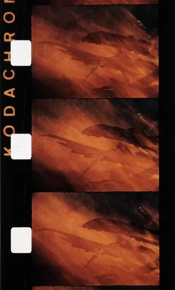 Le feu (1992)